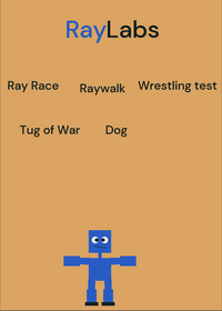 Raylabs