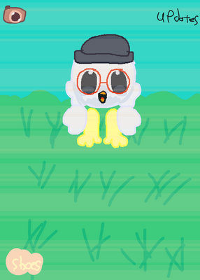 snapshot