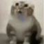 Lord_im_one avatar