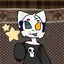 w3rdo_cat avatar