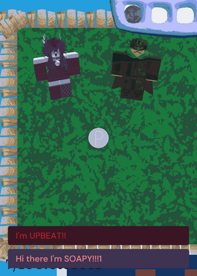 snapshot