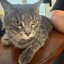 ThatOneCuteCat avatar