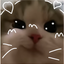 CATO_THE_CAT avatar