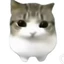 ImPoTaToE avatar
