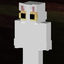 snowiiWolf avatar