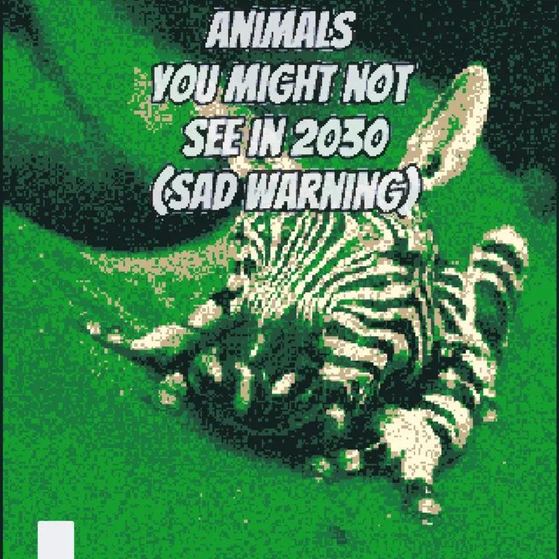 Game by @Hawaiian-cat