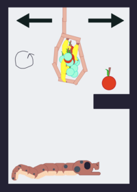 Snake Ragdoll