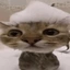 IMAFISH12345 avatar