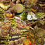 DubbyChoco avatar