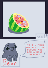 Cooking with bean