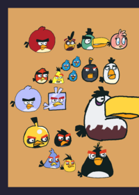 Angri chicks