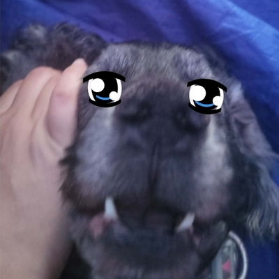 @seallyseal45