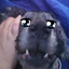 seallyseal45 avatar
