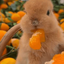 SillyMissStrawb3rry avatar