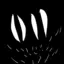 WhoRemembersRaoxy avatar