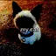 caryscel avatar