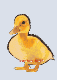 Born a hero