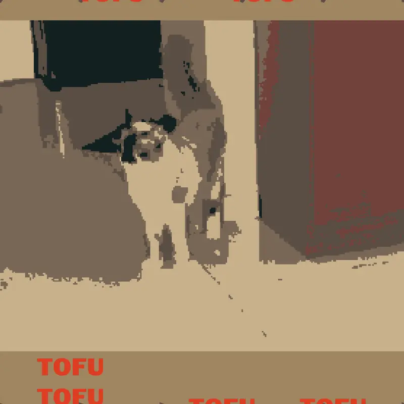 Tofu by @buscatwithipad_refresh