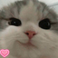 cheesemilk avatar