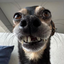 DerpyDude avatar