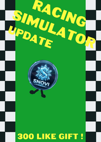 Racing simulator