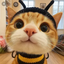 Hwongg avatar
