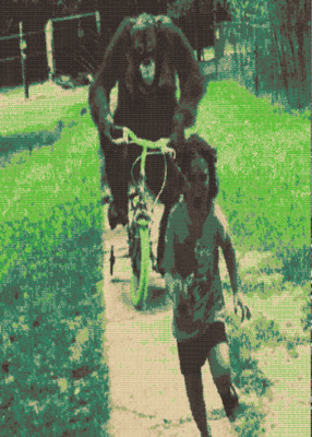 snapshot