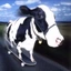 Happy_lad avatar