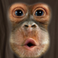 FUNKYMUNKY avatar
