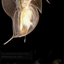 B-15rldXD avatar