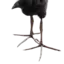 puekeko avatar