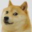 TaylerWayne4000 avatar