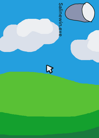 Salinewin.exe