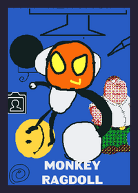 Monkey Ragdoll