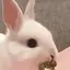 st4rrythealien avatar
