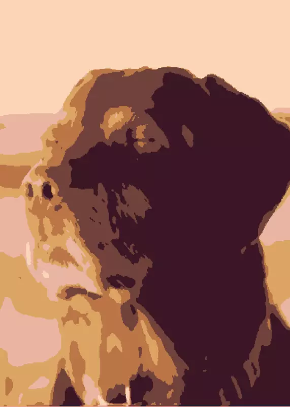 Make ur own marble race! (1.2) by @inion
