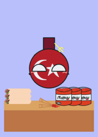 Feed TurkeyBall Food!