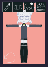 Wenda ragdoll
