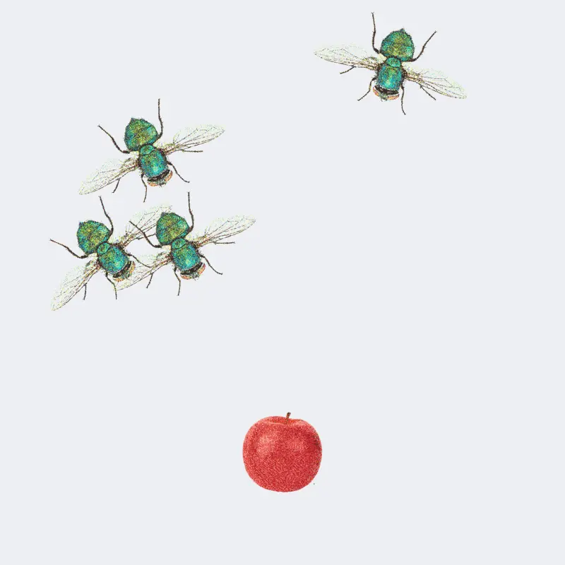 Game by @Natural_life