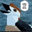 ThatOneConfuciusornis avatar