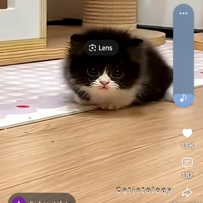 @CatNumberBoocker
