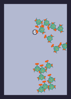 snapshot