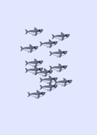 Sharks great white shark