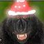 monkey_1 avatar