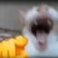 animalhospital_lover600 avatar