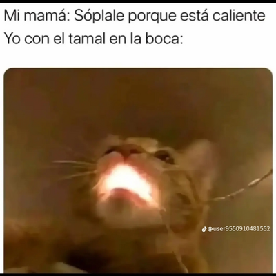 @LeonRoviraproXDD