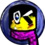 PakoPigeonFerret avatar