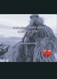Animals that will gone extinct in 2067...