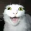 Agoiabada avatar
