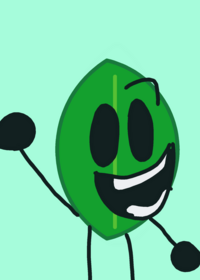 Leafy ragdoll :D